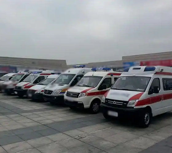 龙州县服务车队展示