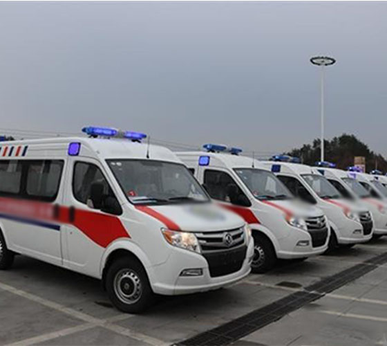 龙州县服务车队展示